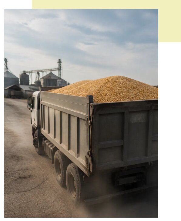 Перевозка сельхозпродукции навалом в Ялту по цене от 3065 р. | Агросервис-Ялт