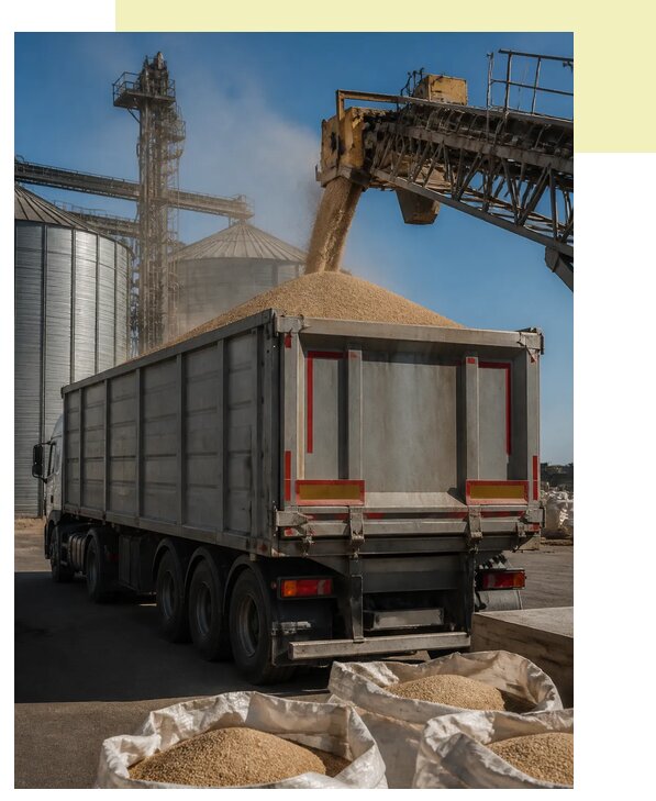 Перевозка продовольственного зерна в Ялту по цене от 1532 р. | Агросервис-Ялт